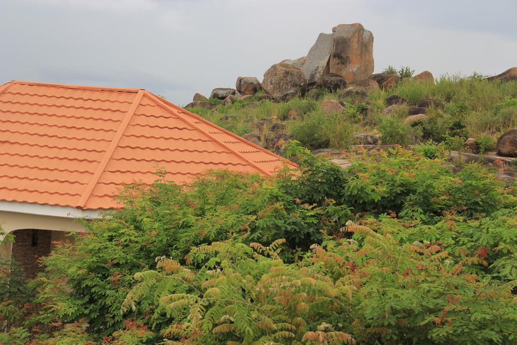 The Lahe * Mwanza